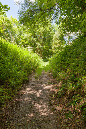 20170701 Dorset Gap