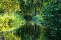 River Pang Mod