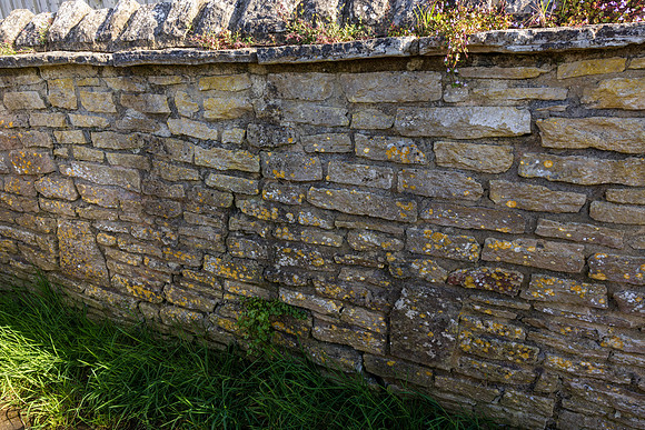 Wall 024