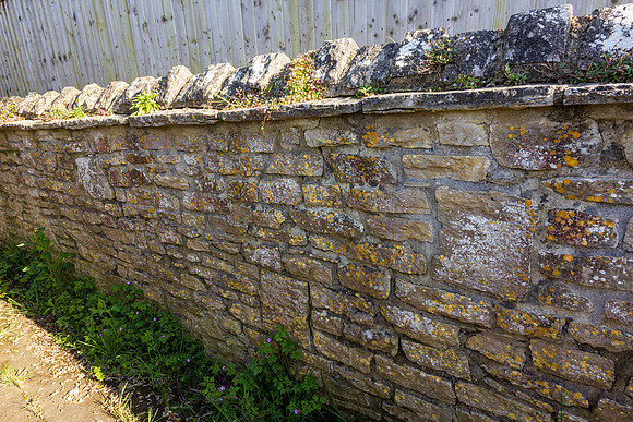 Wall 026