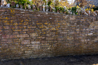 Wall 008