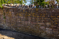 Wall 007