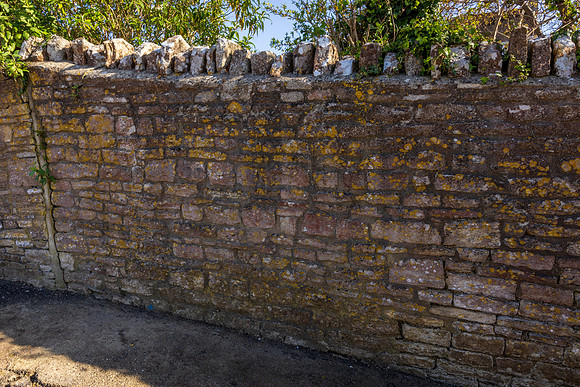 Wall 007