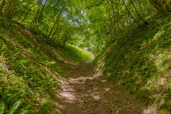 20170701 Dorset Gap